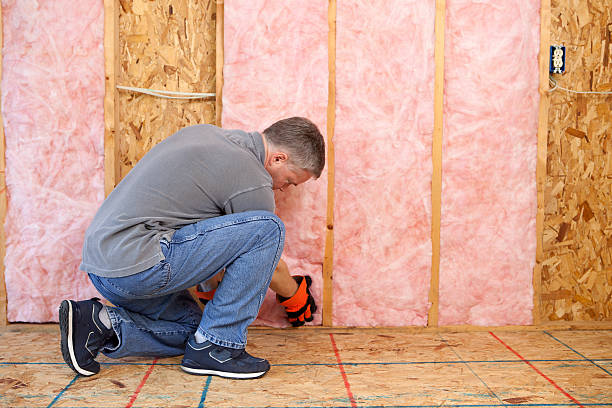 Best Attic Insulation Installation  in Thorndale, TX